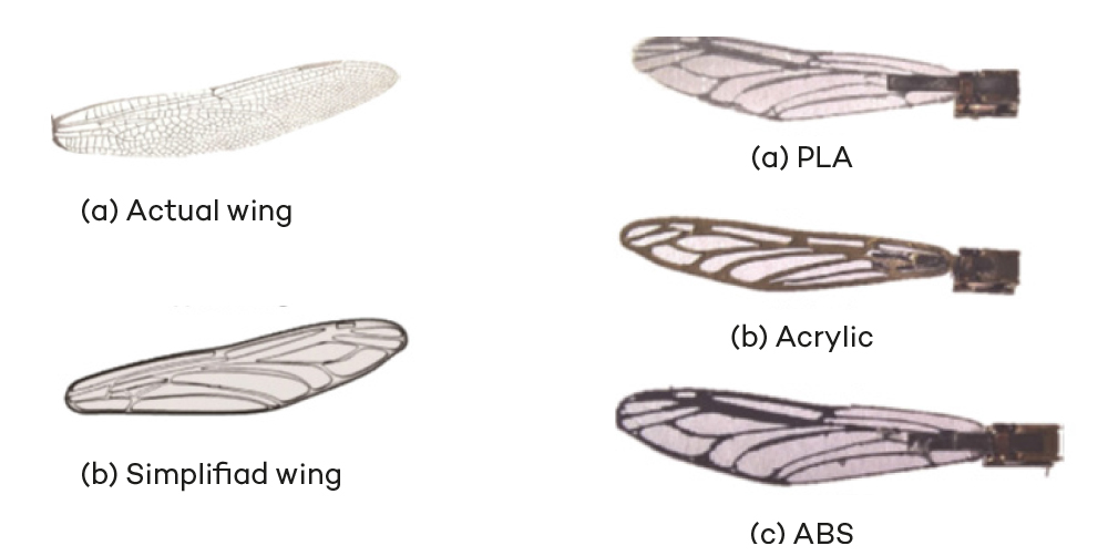 Bio-Inspiration in  Flapping-Wing UAVs